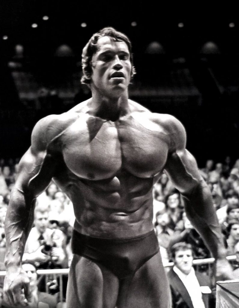 arnold-schwarznegger-perfection - Muscle Building Blog